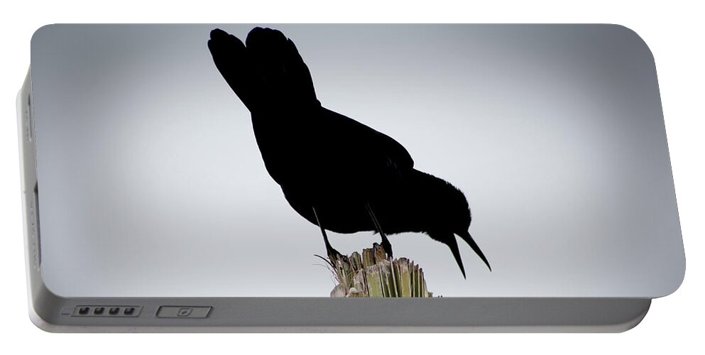 Boat-tailed Portable Battery Charger featuring the photograph Boat-Tailed Grackle Silhuoette by Richard Goldman