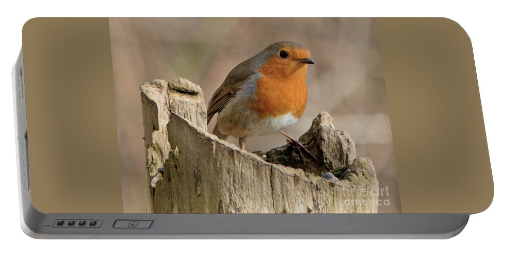 Bird Portable Battery Charger featuring the photograph Bobbin Robin by Stephen Melia