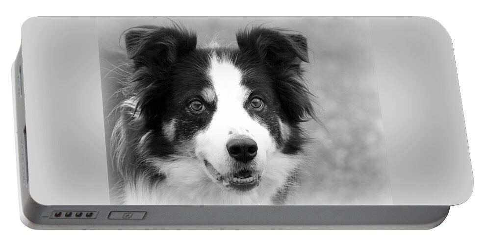 Border Collies Portable Battery Charger featuring the photograph Boder Collie BW by Sue Long