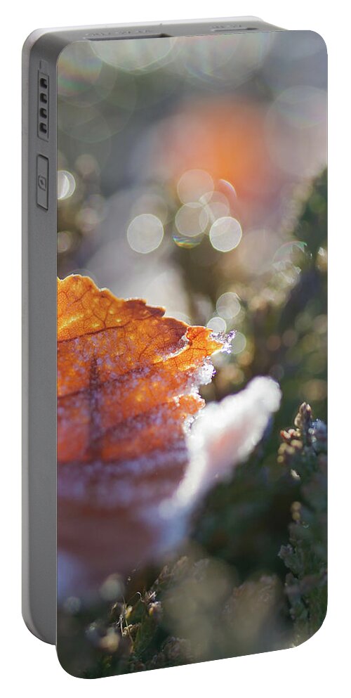 Sky Is The Limit Images Portable Battery Charger featuring the photograph Bokeh Shapes by Becca Buecher