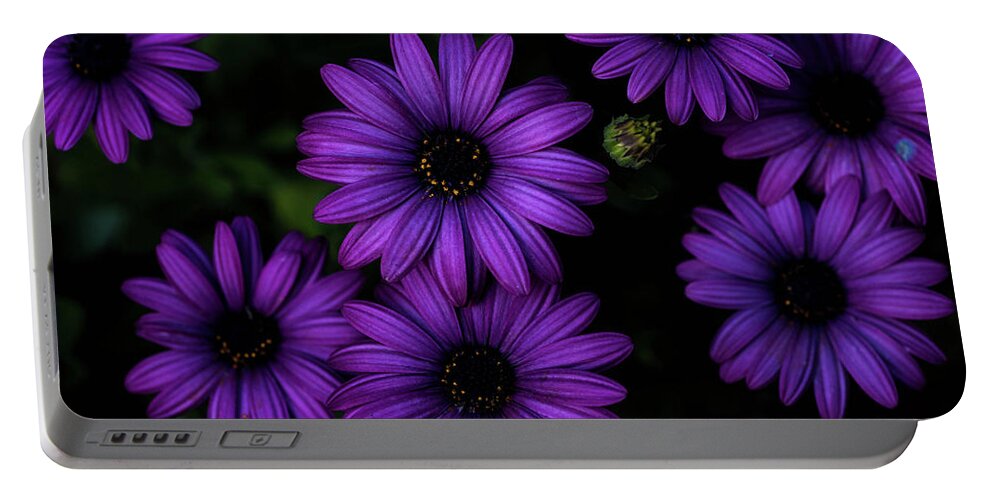Flowers Portable Battery Charger featuring the photograph Bold by Jody Partin