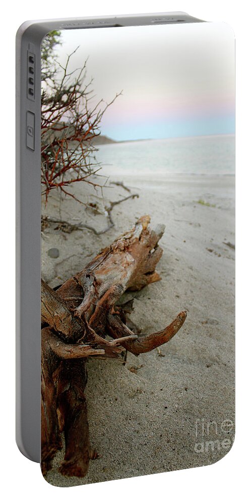 Driftwood Portable Battery Charger featuring the photograph Bonanza Beach Driftwood by Becqi Sherman