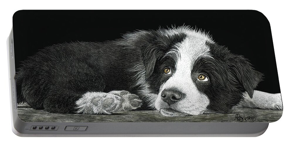 Border Collie Portable Battery Charger featuring the drawing Border Collie Pup for Limited Items by Ann Ranlett