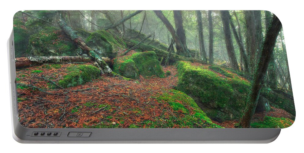 Boulder Portable Battery Charger featuring the photograph Boreal Forest by Jakub Sisak