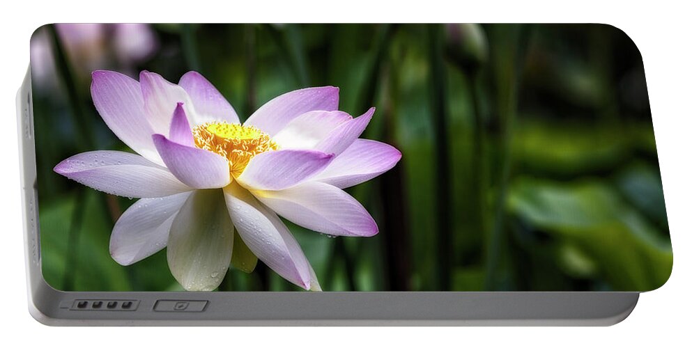 Lotus Portable Battery Charger featuring the photograph Born Of The Water Original by Edward Kreis