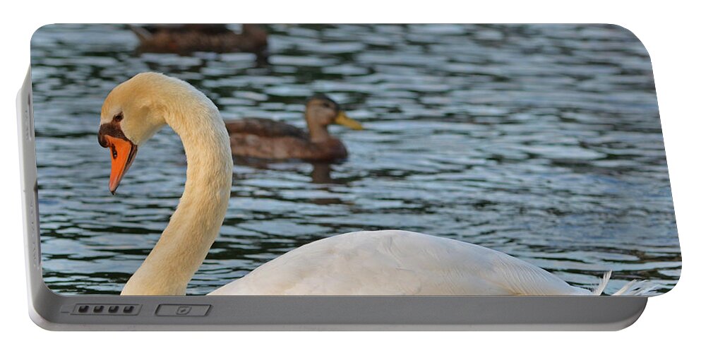 Boston Portable Battery Charger featuring the photograph Boston Public Garden Swan amongst the ducks by Toby McGuire