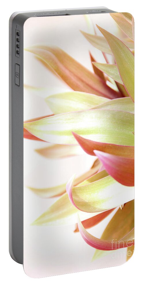 Plant Portable Battery Charger featuring the photograph Botanical Dance by Becqi Sherman