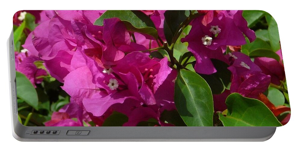 Flowers Portable Battery Charger featuring the photograph Bougainvillea by Carole L Parker