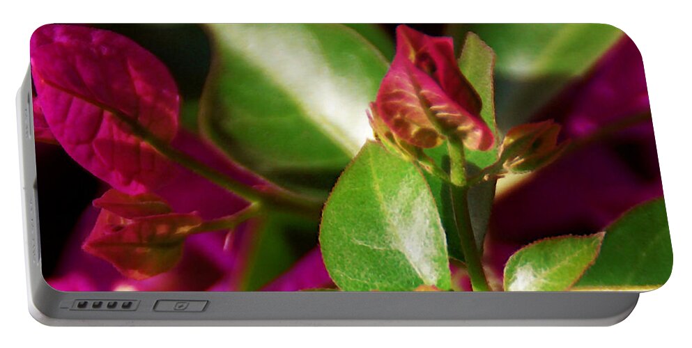 Bougainvillea Portable Battery Charger featuring the photograph Bougainvillea by Linda Shafer