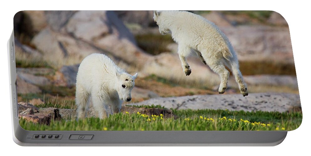 Mountain Goats Portable Battery Charger featuring the photograph Bounder by Jim Garrison