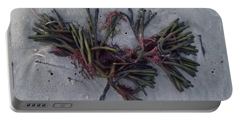 Seaweed Portable Battery Charger featuring the photograph Bouquet by Robert Nickologianis