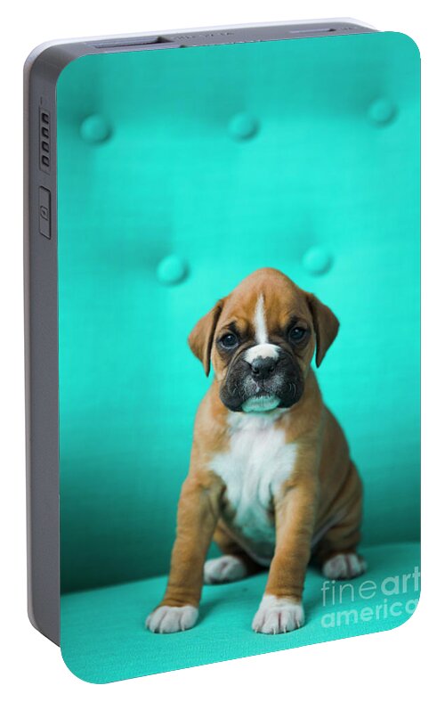 Puppy Portable Battery Charger featuring the photograph Boxer Puppy by Diane Diederich