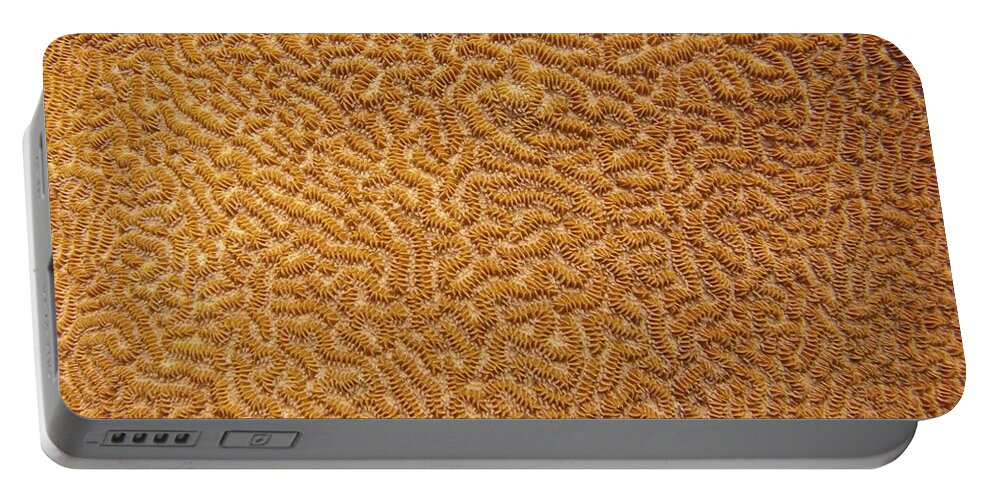 Texture Portable Battery Charger featuring the photograph Brain Coral 47 by Michael Fryd