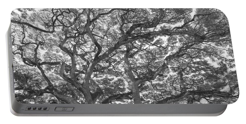 Branches Portable Battery Charger featuring the photograph Branches by Jeff Cook