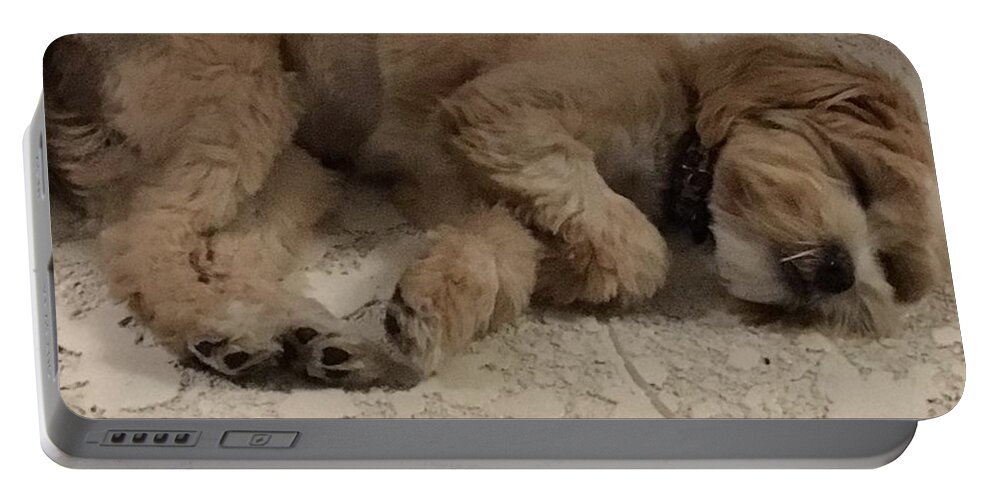 Dog Sleeping Portable Battery Charger featuring the photograph Brandy by Val Oconnor