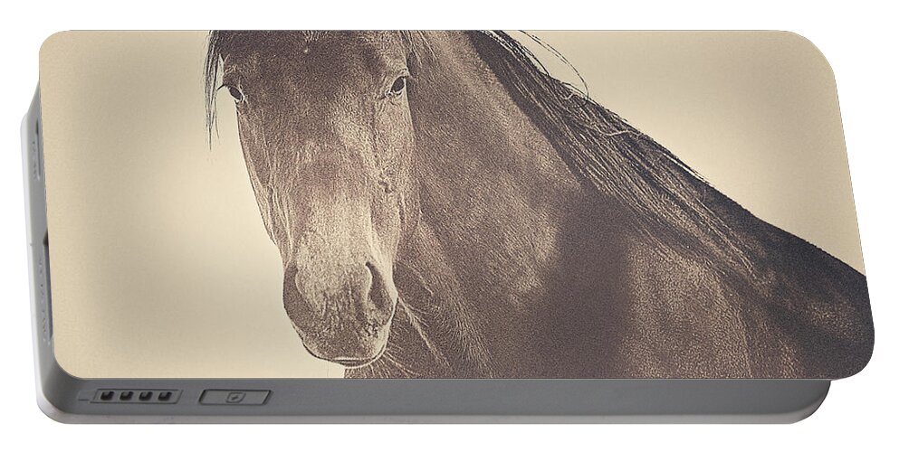 Horse Portable Battery Charger featuring the photograph Brazen and Bold by Amanda Smith