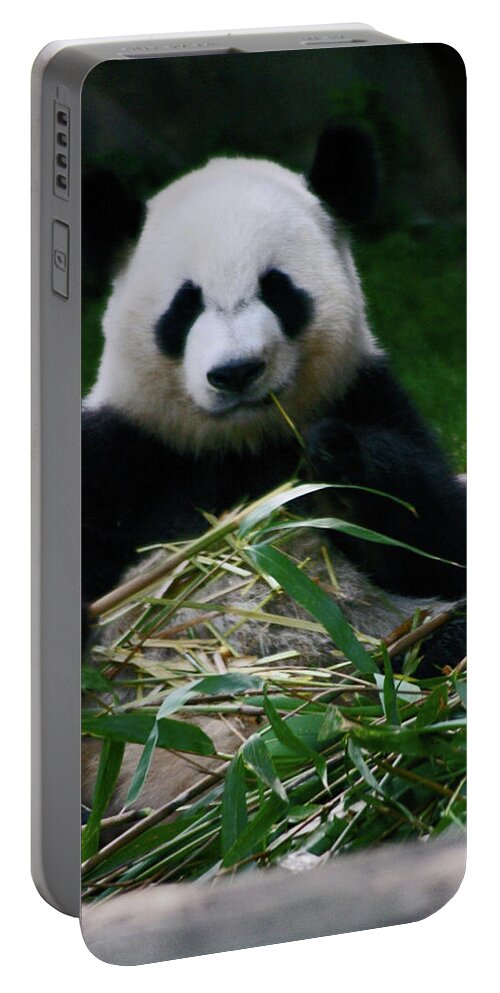 Animals Portable Battery Charger featuring the photograph Breakfast at the Zoo by Bess Carter
