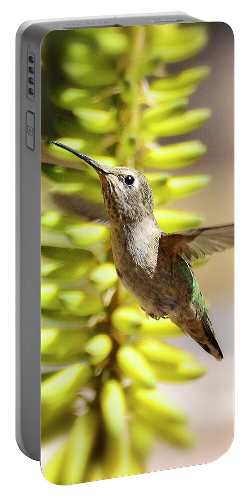 Hummingbird Portable Battery Charger featuring the photograph Breakfast Time Hummer Style by Saija Lehtonen