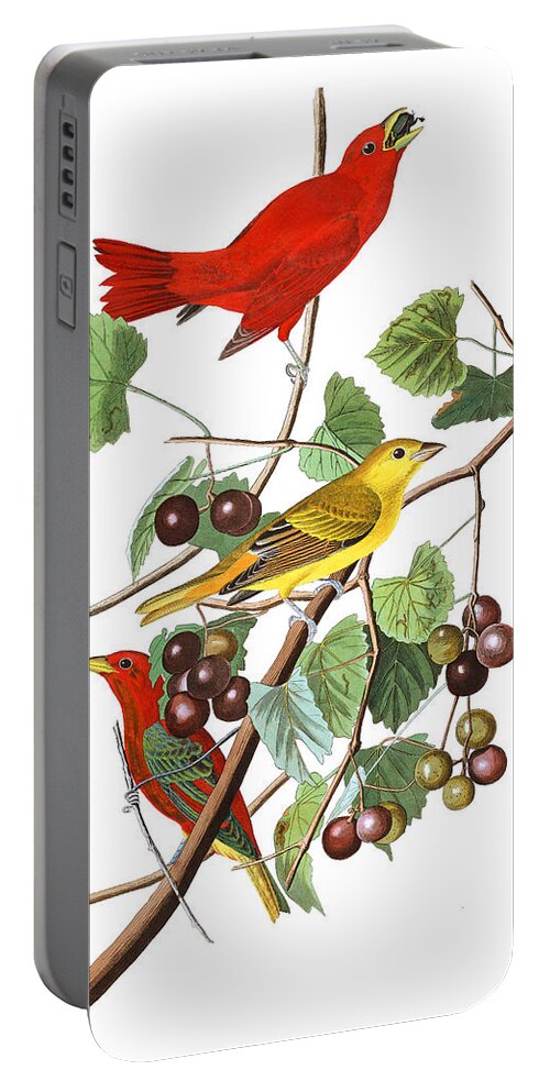 John James Audubon Portable Battery Charger featuring the photograph Breakfast Time by Munir Alawi