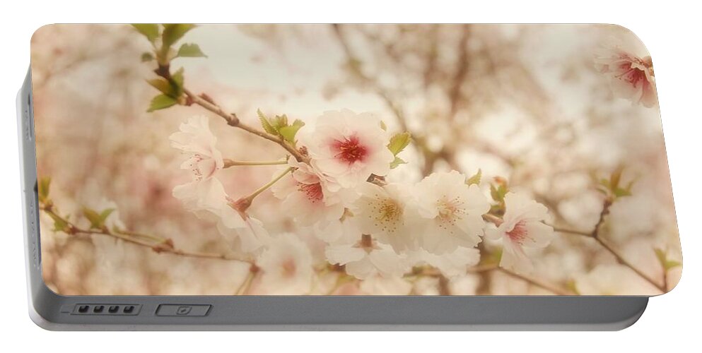 Cherry Blossom Trees Portable Battery Charger featuring the photograph Breathe - Holmdel Park by Angie Tirado