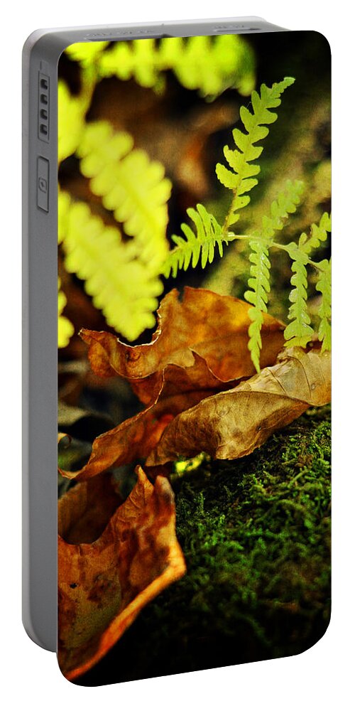 Fern Portable Battery Charger featuring the photograph Breathe You In by Rebecca Sherman