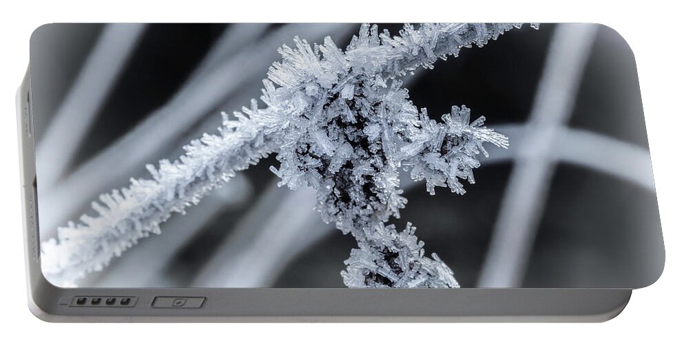 Ice Portable Battery Charger featuring the photograph Briefly Beautiful by Nick Bywater