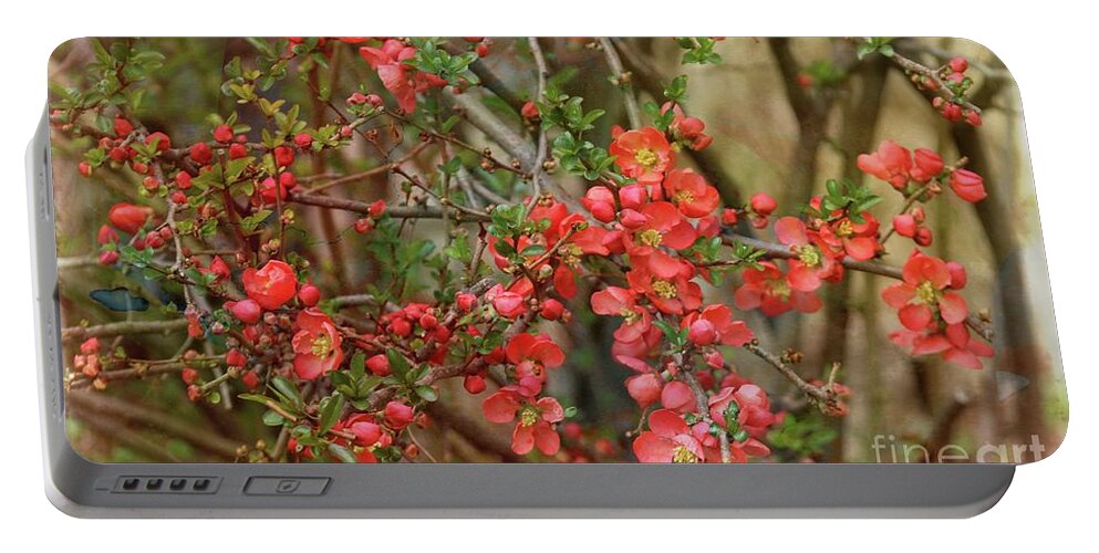 Japanese Quince Portable Battery Charger featuring the photograph Brighten my garden by Yumi Johnson