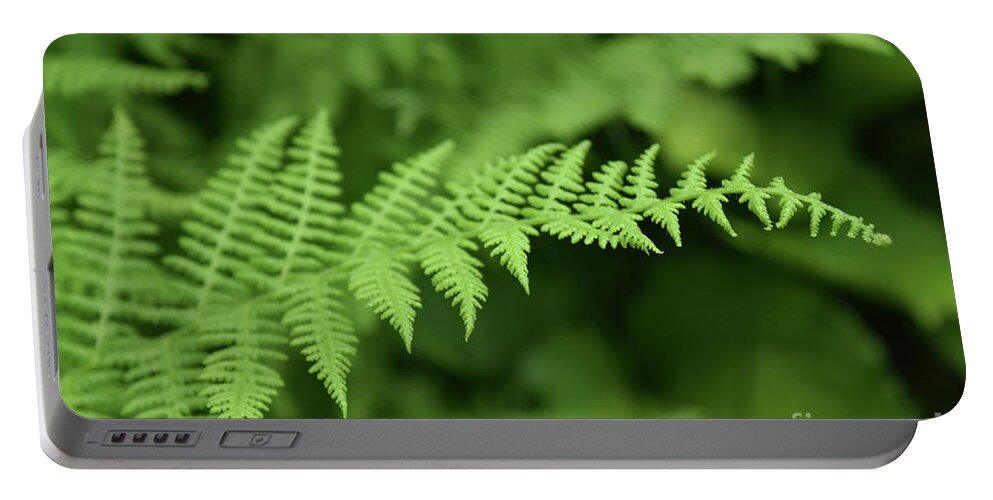 Fern Portable Battery Charger featuring the photograph Brilliant Macro of a Fiddlehead Fern in a Shade Garden by DejaVu Designs