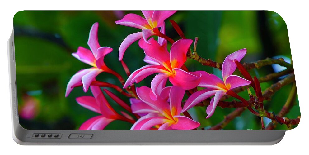 Plumeria Portable Battery Charger featuring the photograph Brilliant Plumeria by Craig Wood