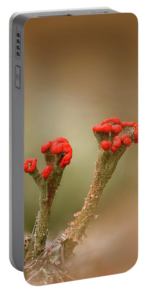Lichen Portable Battery Charger featuring the photograph British Soldiers by Robert Charity