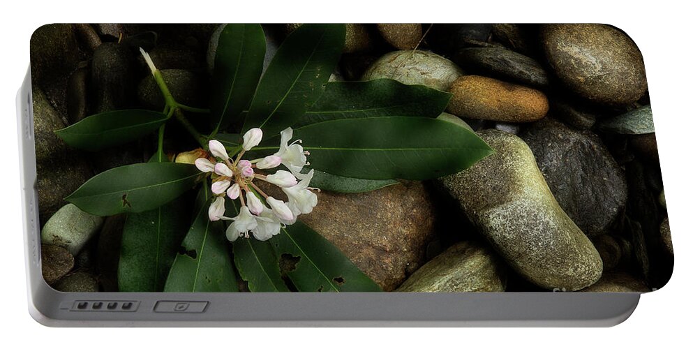 Rhododendron Portable Battery Charger featuring the photograph Broken by Mike Eingle