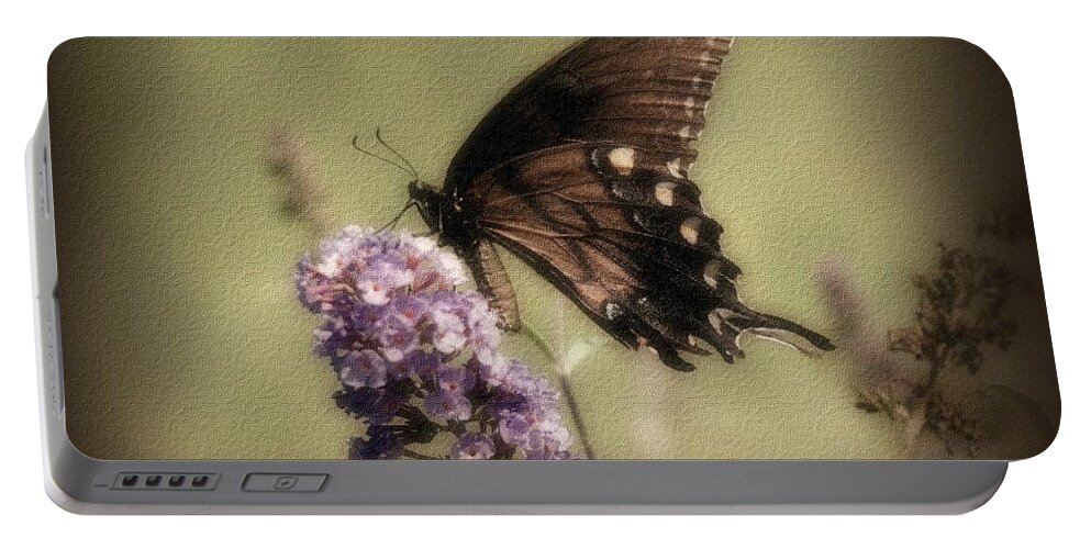 Butterfly Portable Battery Charger featuring the photograph Brown and Beautiful by Sandy Keeton