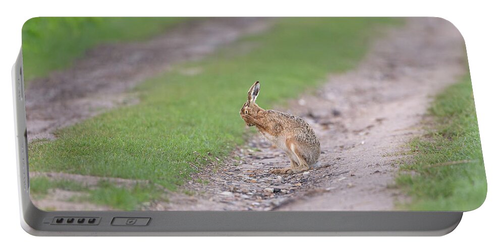 Brown Portable Battery Charger featuring the photograph Brown Hare Cleaning by Pete Walkden