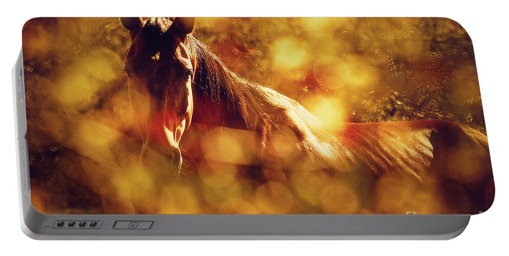 Horse Portable Battery Charger featuring the photograph Brown Horse Portrait In Summer Day by Dimitar Hristov