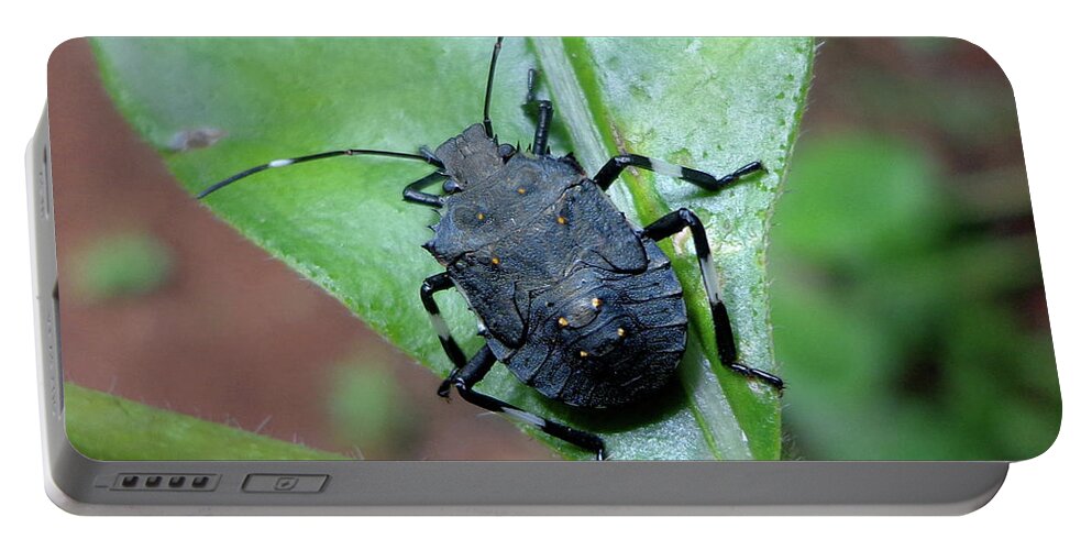 Brown Marmorated Stink Bug Portable Battery Charger featuring the photograph Brown Marmorated Stink Bug by Iqbal Misentropy