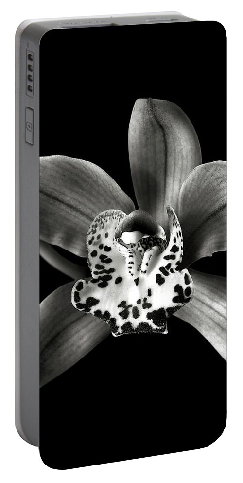 Flower Portable Battery Charger featuring the photograph Brown Orchid in Black and White by Endre Balogh