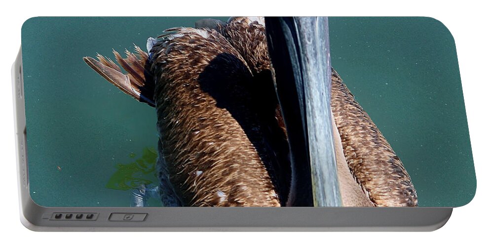 Wildlife Portable Battery Charger featuring the photograph Brown Pelican by Debra Forand
