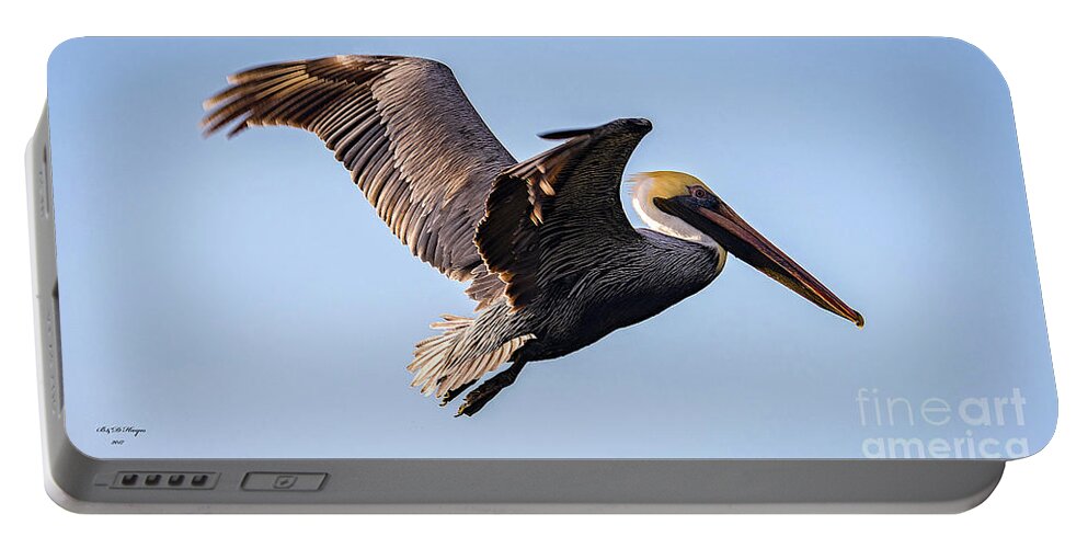 Nature Portable Battery Charger featuring the photograph Brown Pelican In Flight - Pelecanus Occidentalis by DB Hayes