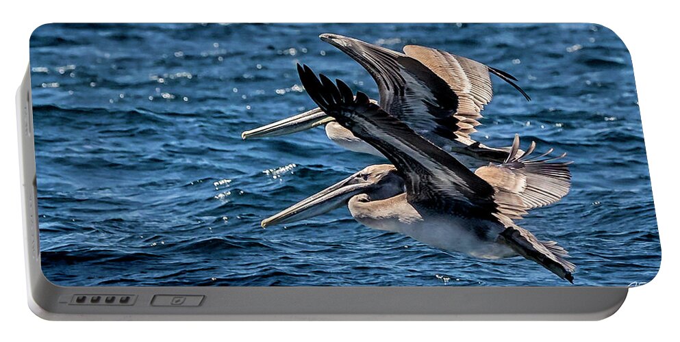 Brown Pelican Portable Battery Charger featuring the photograph Brown Pelicans by Endre Balogh
