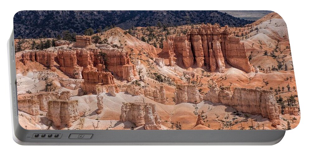 Bryce Portable Battery Charger featuring the photograph Bryce Canyon Overlook by Peggy Hughes