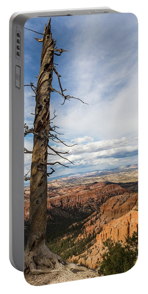 Nature Portable Battery Charger featuring the photograph Bryce Canyon Tree by Kathleen Scanlan