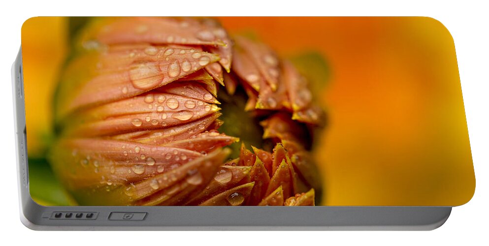 Dahlia Portable Battery Charger featuring the photograph Bud Drops by Mary Jo Allen