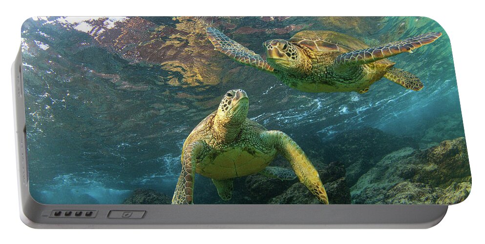 Maui Hawaii Turtles Black Rock Sealife Oceanlife Portable Battery Charger featuring the photograph Friends by James Roemmling