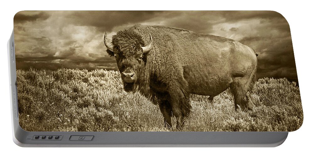 Buffalo Portable Battery Charger featuring the photograph Buffalo Bison at Yellowstone in Sepia by Randall Nyhof