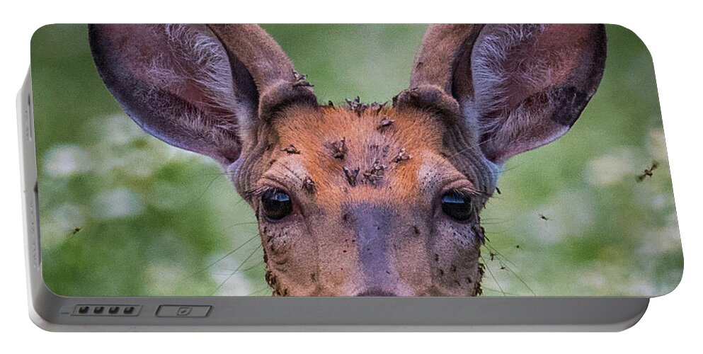 Deer Portable Battery Charger featuring the photograph Bugy by Paul Freidlund