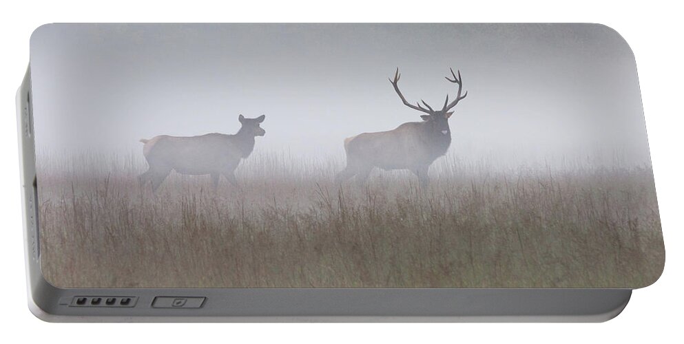 Elk Portable Battery Charger featuring the photograph Bull and Cow Elk in Fog - September 30 2016 by D K Wall