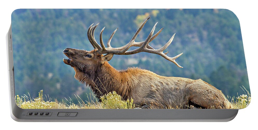 Bugle Portable Battery Charger featuring the photograph Bull Elk Bugling by Wesley Aston