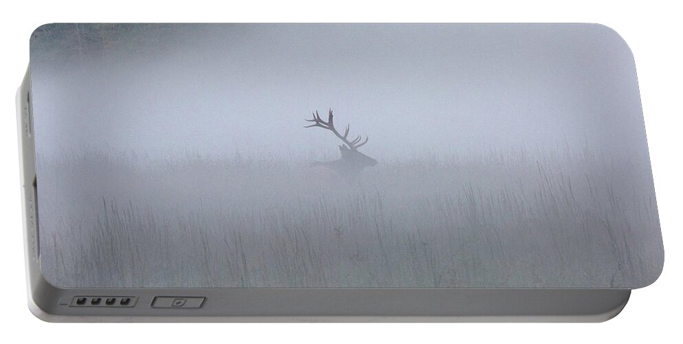 Elk Portable Battery Charger featuring the photograph Bull Elk in Fog - September 30, 2016 by D K Wall