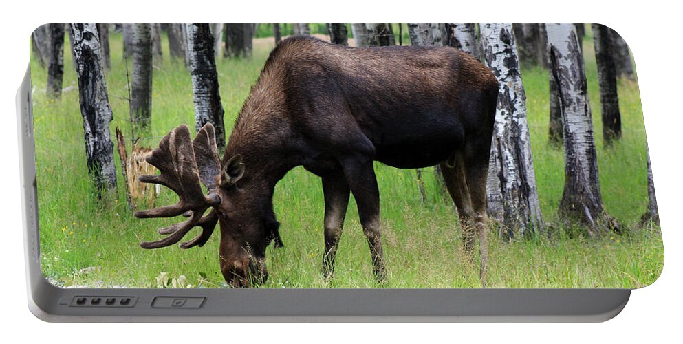 Big Moose Portable Battery Charger featuring the photograph Bull Moose in the Woods by Cathy Beharriell