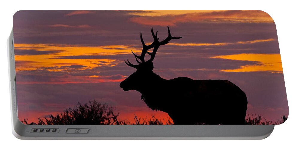 Animal Portable Battery Charger featuring the photograph Bull Tule Elk Silhouetted at Sunset by Jeff Goulden